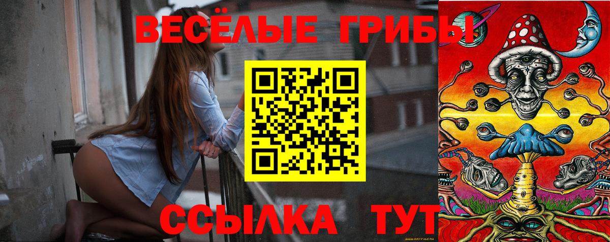 Псилоцибиновые грибы MAGIC MUSHROOMS  Галлюциногенные грибы GOLDEN TEACHER  Брянск  Вход с VPN 